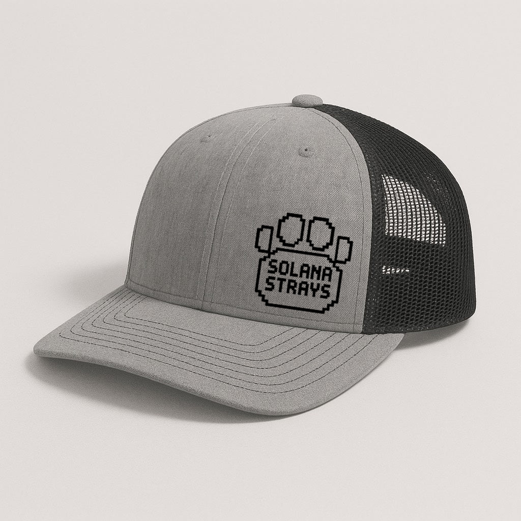 Stray Snap Back